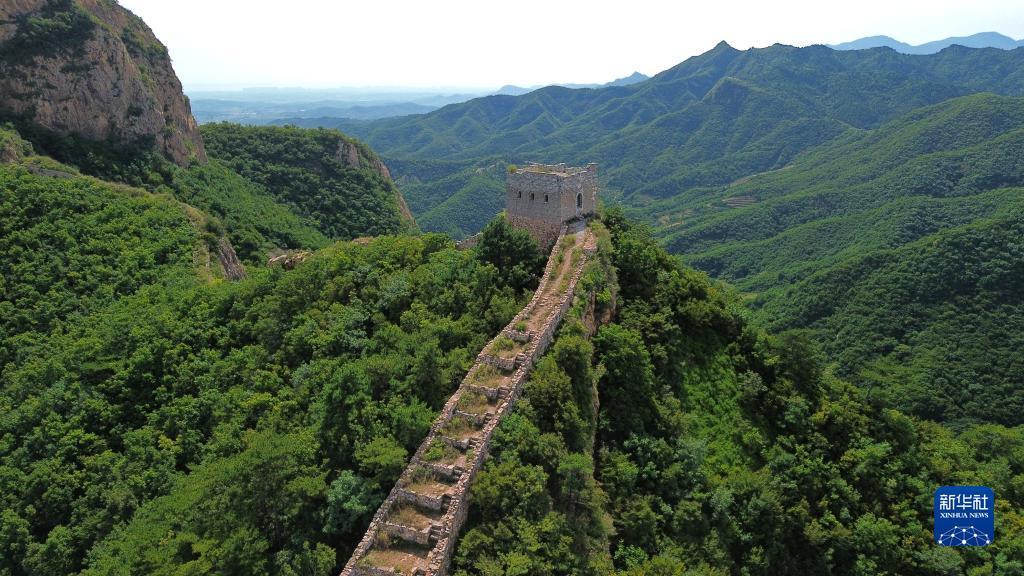 手机打鱼游戏现金